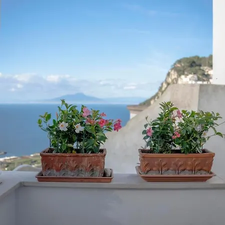 普罗拉酒店 酒店 卡普里